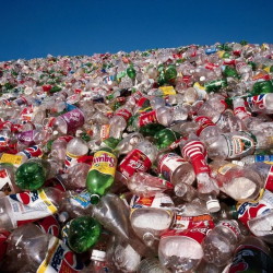 В ЕАЭС могут отказаться от одноразового пластика