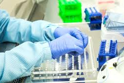 ДССУ пандемия бүттү деген өлкөлөр боюнча тынчсыздануусун билдирди