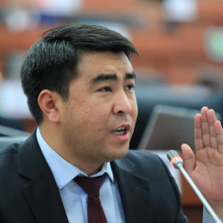 Жанар Акаев: «Депутатар жеңин түрүп иштей элек президенттин мөөнөтүн узартып беришти»