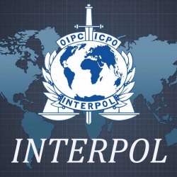 Издөөдө жүргөн Болгариянын жараны кармалды