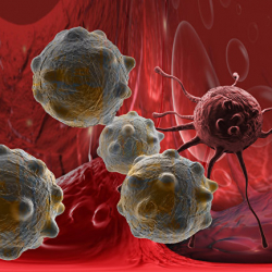 Назван продукт, снижающий риск развития рака