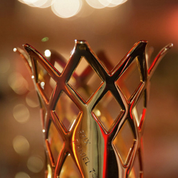 Актриса разделась на кинопремии 