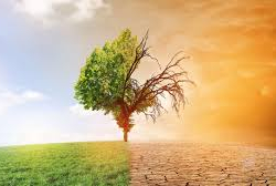 Вильфанд рассказал, надо ли бояться глобального потепления