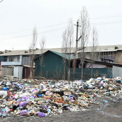ВИДЕО - Марипов сөгүш жарыялаган аким таштандыларды түндөп тазалады