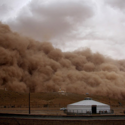 Монголиядагы катуу бороондон чабандар каза болуп, 81 киши дайынсыз
