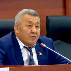 Депутат Бейшеналы Нурдинов каяка жетекчи болду?