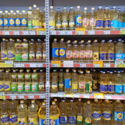 Күн карама майынын баасы 1,6 эсеге жогорулады