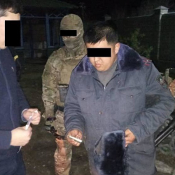 ВИДЕО - Чүй РИИБдин тергөөчүсү пара менен кармалды