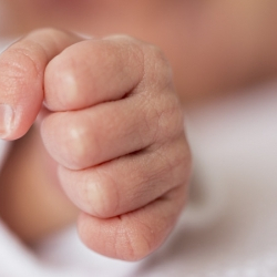 Бишкекте желим ящикке салынган ымыркай табылды