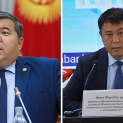 Айыл, суу чарба жана аймактарды өнүктүрүү министринин орун басары алмашты
