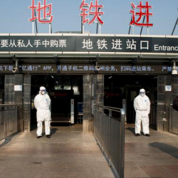 Кытайда коронавирустун тарашына эмне себеп болгон?