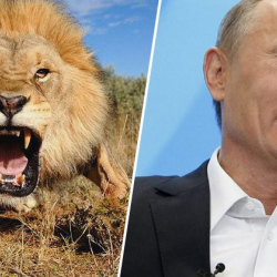 Байдендин мурдагы жардамчысы Путинди арстанга салыштырды