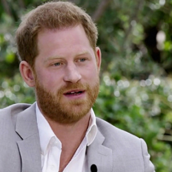Принц Гарри нашел вторую работу за два дня