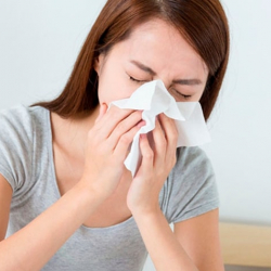 Сасык тумоо вирусу Ковид-19дун жолун тосту