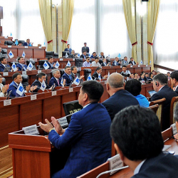 Депутаты в третьем чтении приняли законопроект о профилактике правонарушений