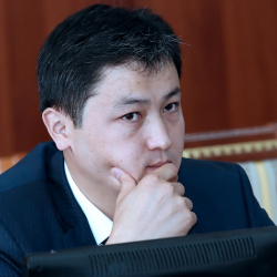 Депутаттар Мариповду сындап, аны парламентке чакырышты