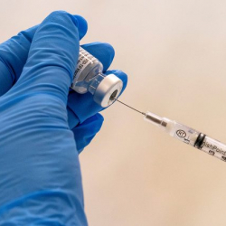 COVID-19га каршы эмделгендердин абалы