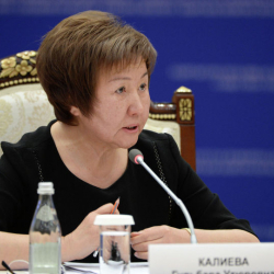 «Жарандык көзөмөл комитети» Калиева боюнча БУУга кайрылды