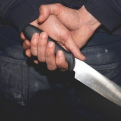 Кайнатасын өлтүрүүгө шектүү жаран кармалды