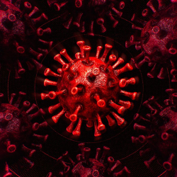 В ВОЗ объяснили, чем опасны мутации коронавируса