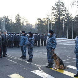 Шайлоо - 2021: Бишкекте абал тынч