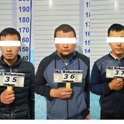 Похитили 17-летнюю девушку. Задержали трех парней