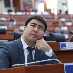 УКМК Жанар Акаевге психологиялык басым көрсөтүп жатабы?