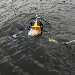 Нарында дарыяга түшүп кеткен эркек киши изделүүдө