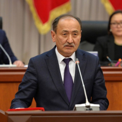 Глава Минздрава рассказал про новый метод лечения COVID-19 Иссык-Кульским корнем