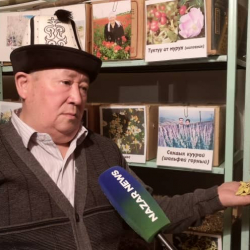 ВИДЕО -  Дүйшөн Чомоев, элдик даарыгер:  “Уу коргошунду берсек кыргыз элин кырып алабыз”