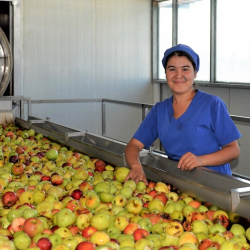 Эки аптада 34 тоннадан ашуун ата мекендик айыл чарба продукциясы экспортко чыгарылды
