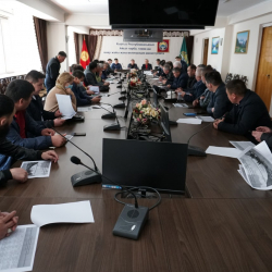 Чек араларда ветеринардык станциялар уюштурулат