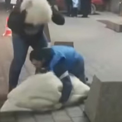 «В поле вся в крови»,- школьница инсценировала свое похищение