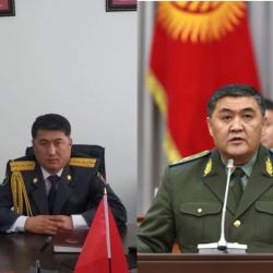 Элмира Мадиева: «Подстава» менен кармалган Баялы Сманкуловдун ишин Камчыбек Ташиев өз көзөмөлүнө алсын»