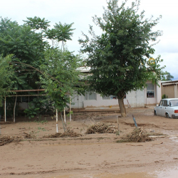 Сел жүрөт. ӨКМ шашылыш билдирүү таратты