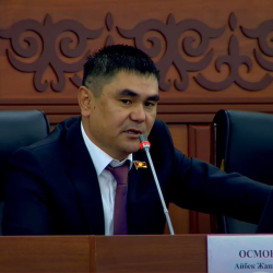 Айбек Осмонов: «Арак завод менен китеп басып чыгарган типографиясына салынган салык бирдей»