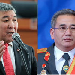 Депутат Ички иштер министринин орун басарынан «пост менен тосттун» айырмасын сурады