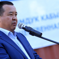 «Мыйзамсыз баюу» беренеси Икрам Илмияновго бап келишеби?