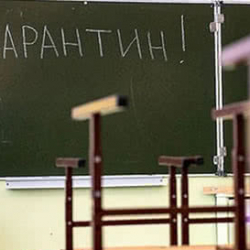 В Бишкеке 15 школ закрыли на карантин