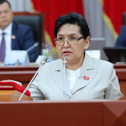 Гүлнара-Клара Самат иштей албай жатса, министр эмнеге унчукпайт?