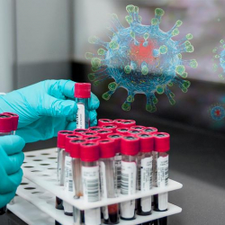 Эрежелерди так сактагыла! Өлкөдө коронавирус штаммынын төрт түрү аныкталды