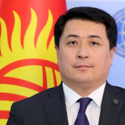 В МИД новый замглавы