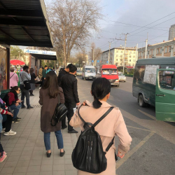 Бишкектеги маршрутка айдоочулар жол кирени көтөрүүнү талап кылышты