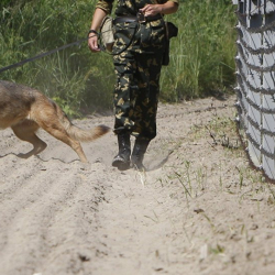 Казакстан чек арасына мыйзамсыз өтүүгө аракет кылган КР жараны кармалды