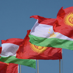 Тажикстандагы элчи кыргызстандыктардын жапырт текшерилип жатканына нааразы