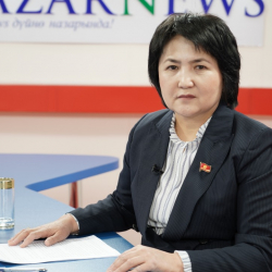 ВИДЕО - Айнура Осмонова: “Кээбир депутаттар өздөрү билип эле башкаларга добуш берип коюшат”