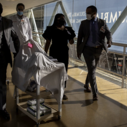 Коронавирус таблеткасы 2021-жылдын аягында колдонулушу мүмкүн