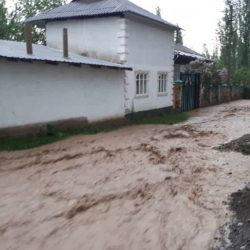 Кара-Суу районунда турак үйлөрдү суу каптады