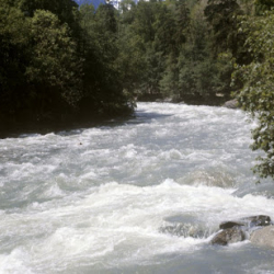 Жалал-Абадда сууга агып кеткен 6 жаштагы бала изделүүдө