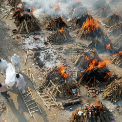 Индияда коронавирустан да кооптуу илдет аныкталды
